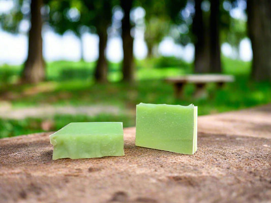 Melon Magic Bar soap